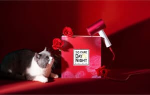 SOOCAS H5 - Innovative Hair Dryer that takes Care of your Hair