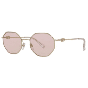 Sunglasses Valentino VA2040 3003/5 52