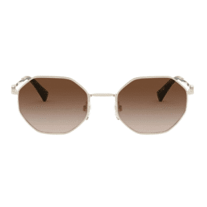 Sunglasses Valentino VA2040 300313 52