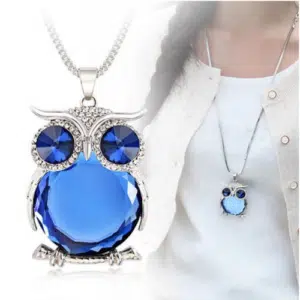 Long chain Necklace with Owl Pendant