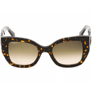 Salvatore Ferragamo Brown Gradient Cat Eye Ladies Sunglasses SF1045S
