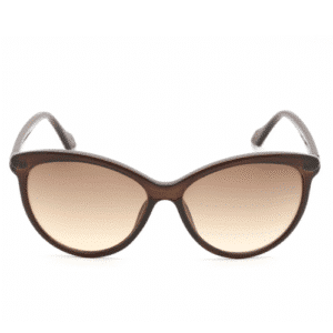 Calvin Klein Brown Cat Eye Ladies Sunglasses CK19534S 210 58