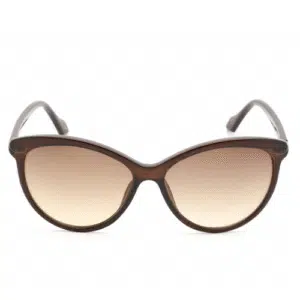 Calvin Klein Brown Cat Eye Ladies Sunglasses CK19534S 210 58