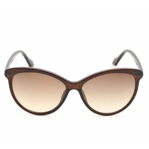 Calvin Klein Brown Cat Eye Ladies Sunglasses CK19534S 210 58