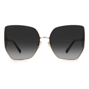 Jimmy Choo Grey Butterfly Ladies Sunglasses RIVER/S 02M2/9O